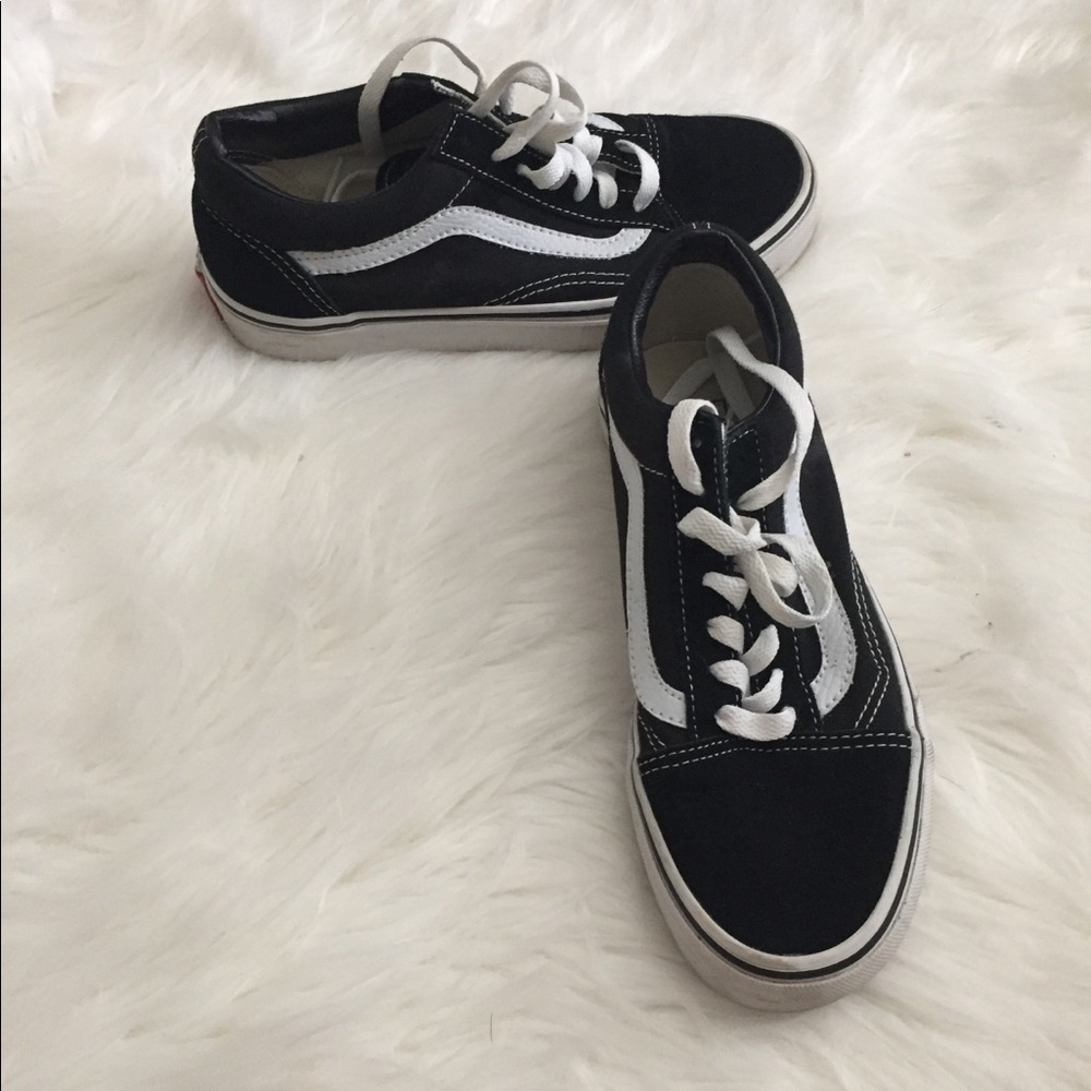 Vans Skate Hi Low top